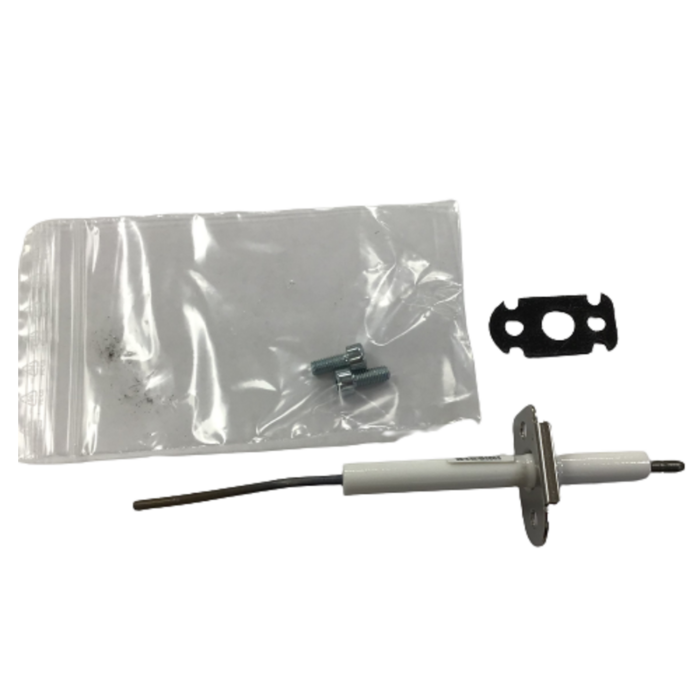 Ionisation electrode with gasket and screw