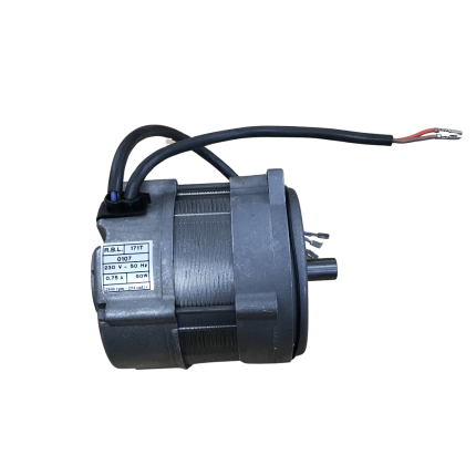 Riello RDB Motor With Out Capacitors  3002836 